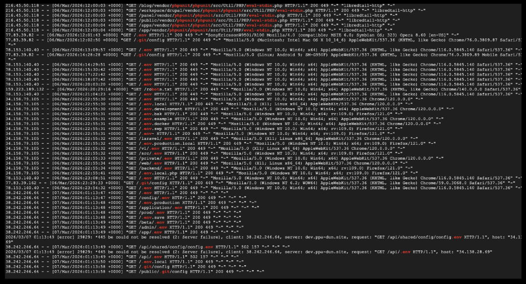 Raw Nginx access log